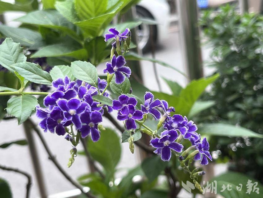 免费打鱼送分客服微信